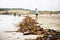 An endless line of sea Ã¢â‚¬â€¹Ã¢â‚¬â€¹algae washed up shore after high tide at Inchydoney beach