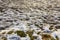 Endless Melting Snow, Grass, and Asphalt Background in Winter Season