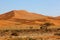 Endless Namib dunes