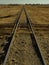 Endless railway tracks running through the yellow grassland of the Free state