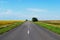 Endless road through a blooming meadow on a Sunny day