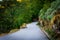 Endless rural curvy road through the hills in national park in Portugal