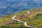 Endless rural curvy road through the hills in national park in Portugal