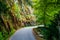 Endless rural curvy road through the hills in national park in Portugal