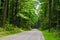 Endless rural road in an eastern US hardwood forest