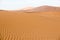 Endless sand waves on a sand dune of Namib Desert