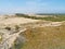 Endless sands of the Curonian Spit. Kaliningrad region. Kaliningrad region