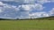 The endless savanna is covered with lush green grass