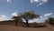 Endless savanna of Serengeti. Hill and trees and blue sky. Tanzania, Africa.