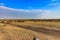 Endless sea of wildebeast on the plains of the Masai Mara National Park