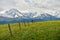 The endless, verdant Kalajun Prairie in Xinjiang