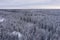 Endless winter, snowy forest. Photo from the drone. Scandinavian nature, Finland. Nuxio, cloudy day, ate in a dream