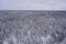 Endless winter, snowy forest. Photo from the drone. Scandinavian nature, Finland. Nuxio, cloudy day, ate in a dream