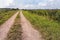 Endlessly long sandy path with wheel tracks