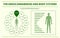 The endocannabinoid and body systems horizontal infographic Complete