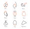 Endocrine glands medical outline icon collection, vector illustration set