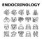 Endocrinology Medical Disease Icons Set Vector