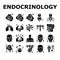 Endocrinology Medical Disease Icons Set Vector