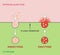 Endocytosis and Exocytosis Diagram