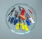 Endodontic Equipment in Petri dish glass