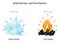 Endothermic and Exothermic chemical reactions