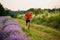 Endurance runner in a lavender plantation, jogging