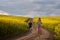 Endurance runners on a dirt track in a canola field, training