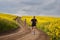 Endurance runners on a dirt track in a canola field, training