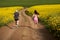 Endurance runners on a dirt track in a canola field, training