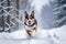 Energetic Border Collie Enjoying Playful Run in Beautiful Winter Snowscape