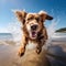 Energetic Canine Delight: Dog Running and Splashing on the Beach