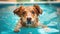 An energetic dog swimming in a pool, chasing after a floating toy, during a Canine Fitness Month event, highlighting the