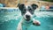 An energetic dog swimming in a pool, chasing after a floating toy, during a Canine Fitness Month event, highlighting the