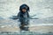 Energetic dog. Young black Labrador dog gets dripping wet swimming in the ocean