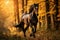 Energetic Majesty: A Majestic Horse Trotting Amidst Vibrant Autumn Scenery