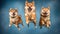 Energetic Shiba Inu Dogs in Dynamic Motion Capturing Treats. Generative AI