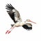 Energetic White Stork In Flight On White Background