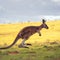 Energetic wildlife kangaroos portrait while in mid air, displaying jumping prowess