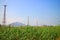 Energy alternatives 6. Wind farm in Indian province of Kerala.