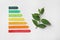 Energy efficiency rating chart and green leaves on white background