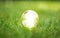 Energy efficient led filament Lightbulb Glowing in Grass. planet`s climat change and Green Energy Concept