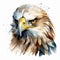 Energy-filled Watercolour Painting Of Eagle Head In Spray Painted Realism Style