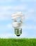 Energy saving compact fluorescent lamp