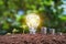 energy saving concept lightbulb with plant growing and money sta