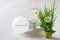 Energy saving concept, plants growing out of light bulb on light background