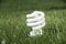 Energy saving lamp on green grass