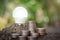 Energy saving light bulb growing on soil with coin stacks on light natural background