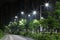 The energy-saving streetlights made by LED