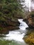 Enfield gorge trail waterfall Robert H. Treman New York State Park