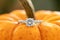 A engagement ring detail shot on an orange pumpkin.